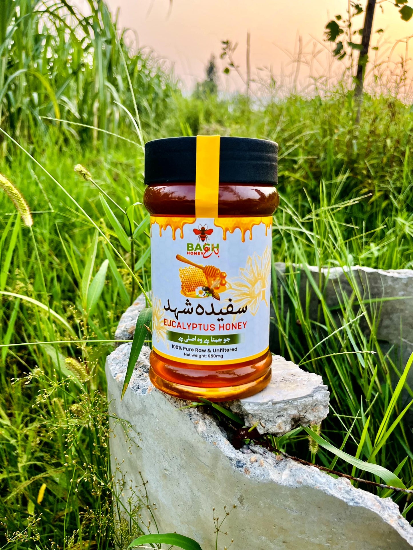 Pure & Raw Eucalyptus Honey – Lab Tested سفیدہ شہد
