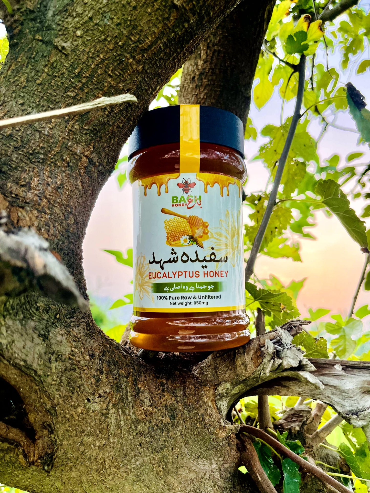 Pure & Raw Eucalyptus Honey – Lab Tested سفیدہ شہد