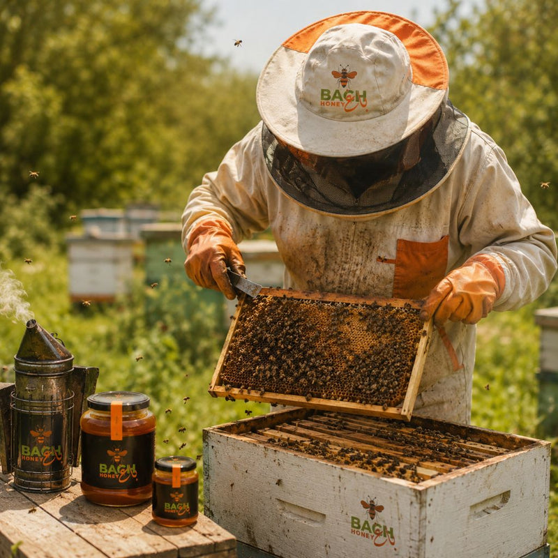 Honey Collection
