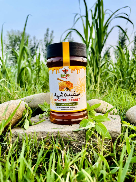 Pure & Raw Eucalyptus Honey – Lab Tested سفیدہ شہد