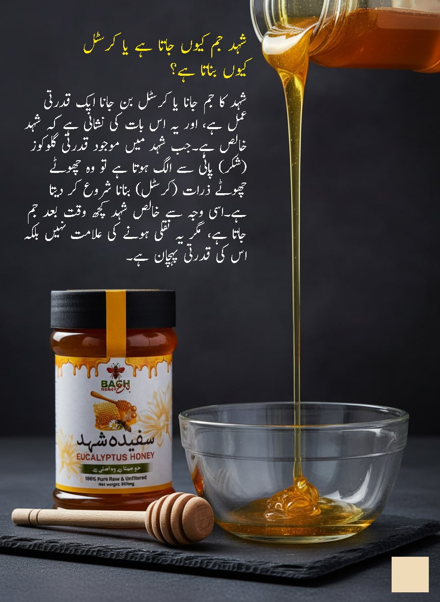 Pure & Raw Eucalyptus Honey – Lab Tested سفیدہ شہد