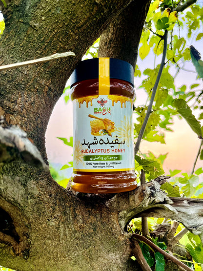 Pure & Raw Eucalyptus Honey – Lab Tested سفیدہ شہد