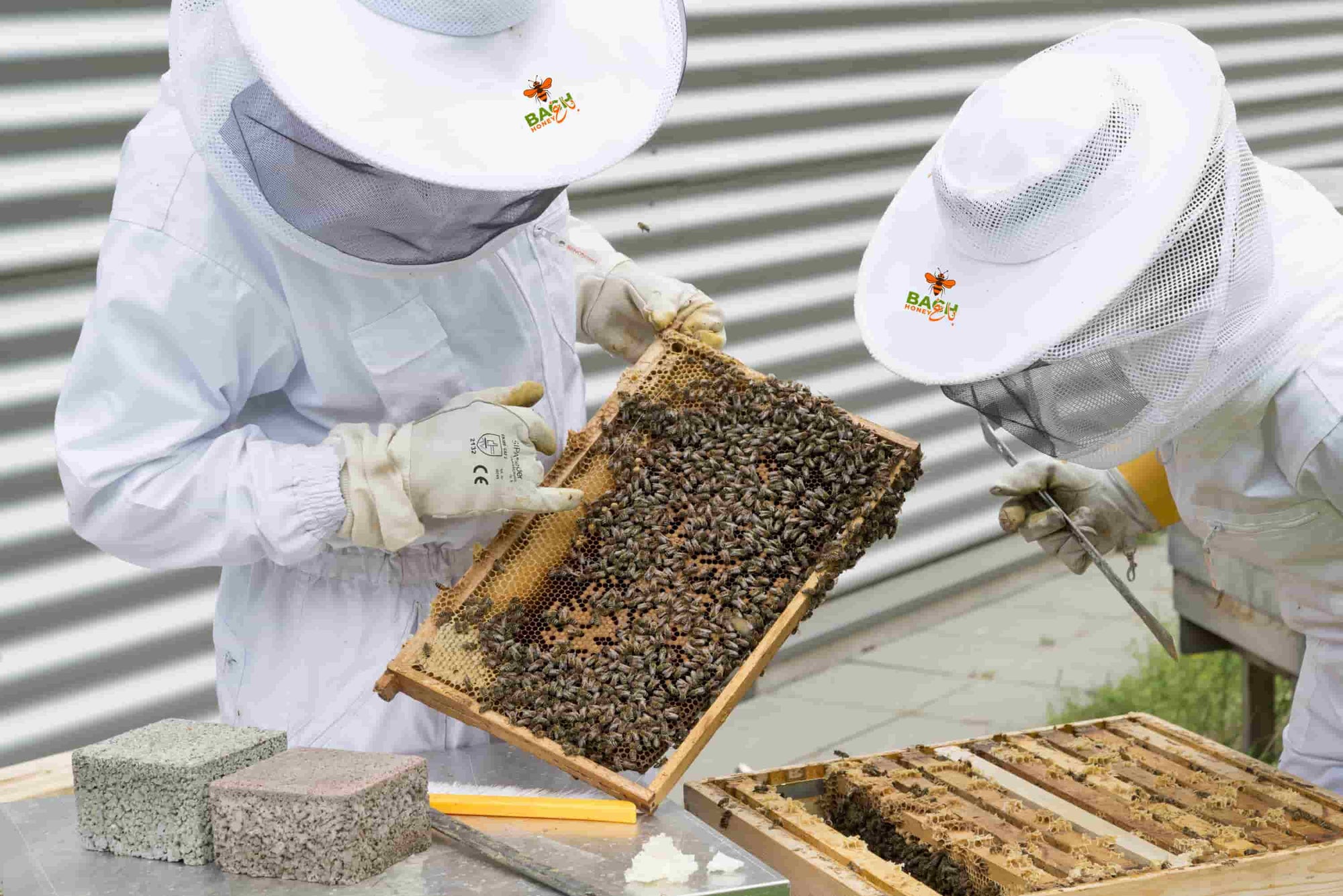 bagh honey Natural honey in Pakistan