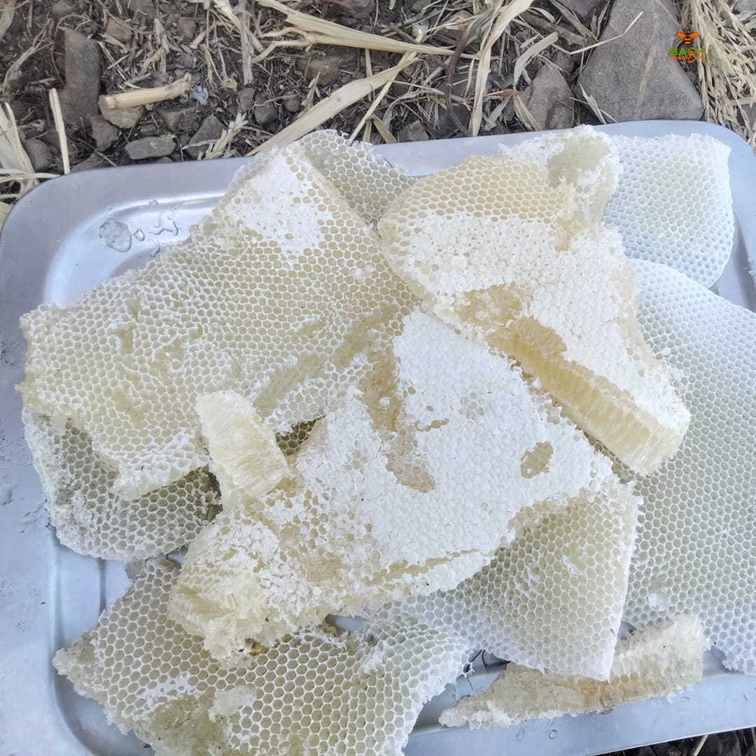 Swat Dir Mountain Small Bee Honey سوات و دیر کا پہاڑی خالص شہد