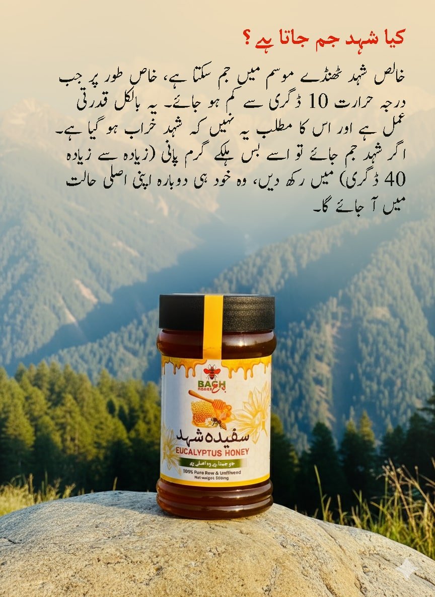 Pure & Raw Eucalyptus Honey – Lab (HBRI) Tested سفیدہ شہد - Bagh Honey