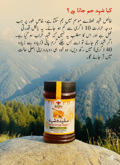 Pure & Raw Eucalyptus Honey – Lab (HBRI) Tested سفیدہ شہد - Bagh Honey
