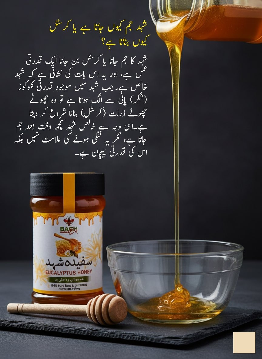Pure & Raw Eucalyptus Honey – Lab (HBRI) Tested سفیدہ شہد - Bagh Honey
