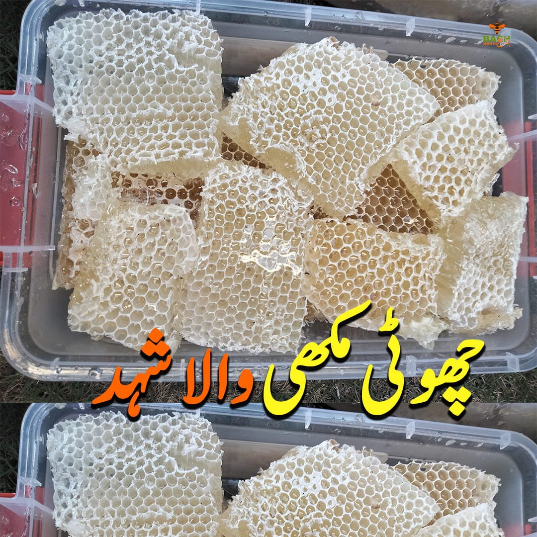 Swat Dir Mountain Small Bee Honey سوات و دیر کا پہاڑی خالص شہد - Bagh Honey